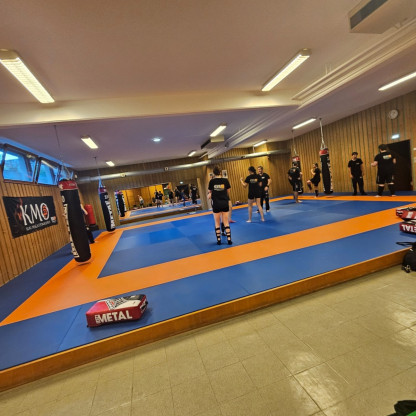 krav maga