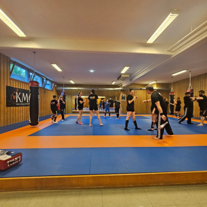 krav maga